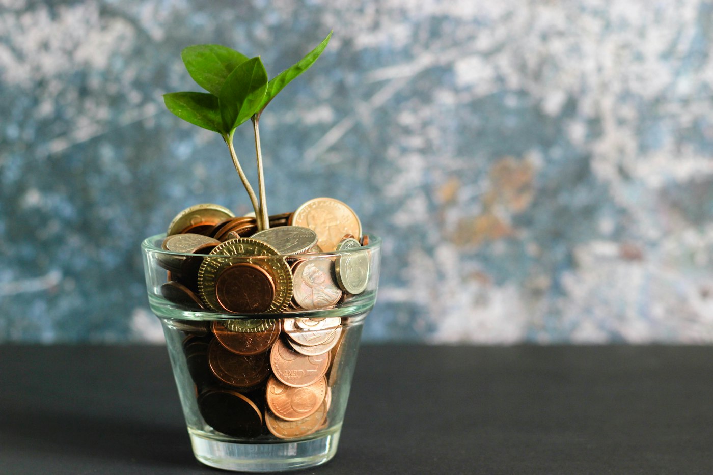 A young plant growing from a jar of coins